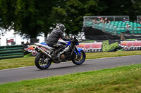 Lower Group Blue Bikes